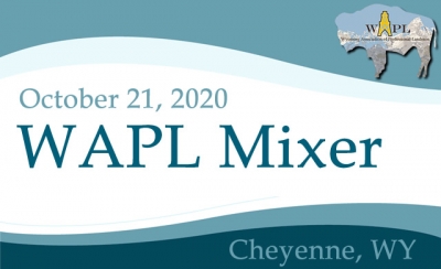 WAPL Mixer